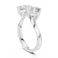 Modern Princess Cut Two Stone Engagement Ring