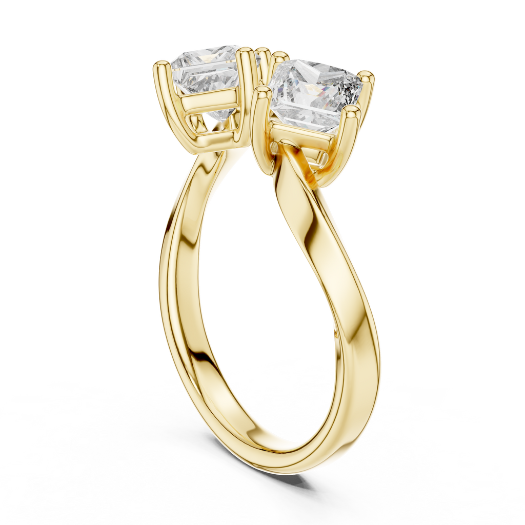 Modern Princess Cut Two Stone Engagement Ring