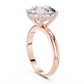 Round Cut Diamond Hidden Halo Engagement Ring