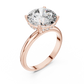 Round Cut Diamond Hidden Halo Engagement Ring