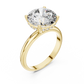 Round Cut Diamond Hidden Halo Engagement Ring