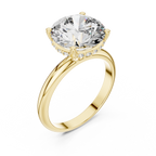 Round Cut Diamond Hidden Halo Engagement Ring
