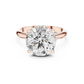 Round Cut Diamond Hidden Halo Engagement Ring