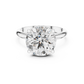 Round Cut Diamond Hidden Halo Engagement Ring
