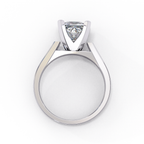 Princess Cut Lab Diamond Open Gallery Solitaire Ring
