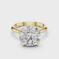 Round Cut Diamond Hidden Halo Engagement Ring